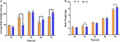 Milk Replacer Supplementation Ameliorates Growth Performance and Rumen Microbiota of Early-Weaning Yimeng Black Goats